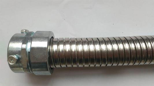 ����̎��